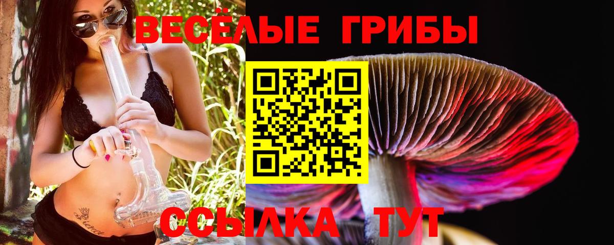 Галлюциногенные грибы мухоморы Пыть-Ях